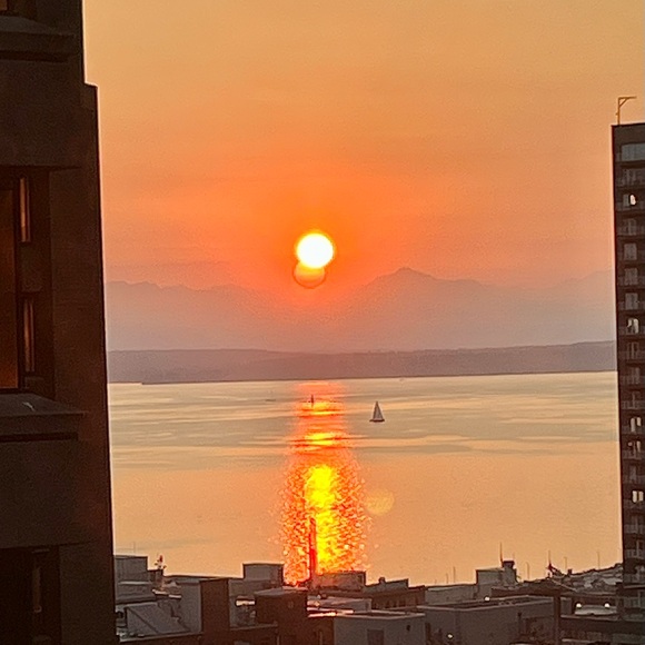 Meet your Posher, Arlin - Picture 2 of 2